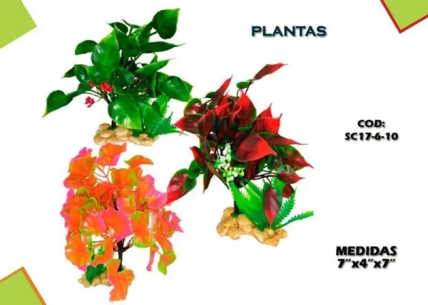 AC PLANTA [SC17-6-10] 7x2.2x4"