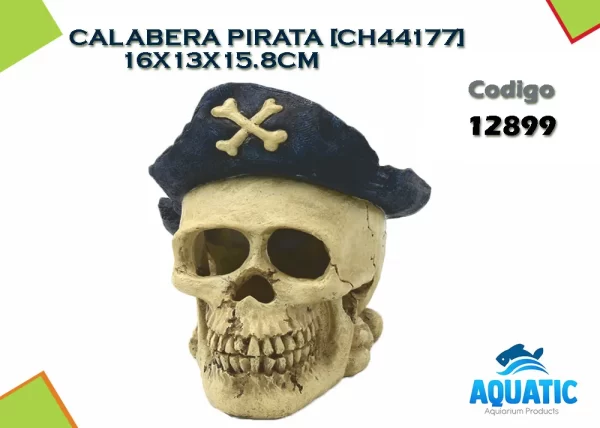 AT CALABERA PIRATA CH44177